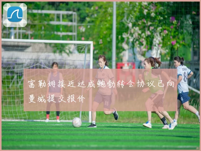 富勒姆接近达成鲍勃转会协议已向曼城提交报价