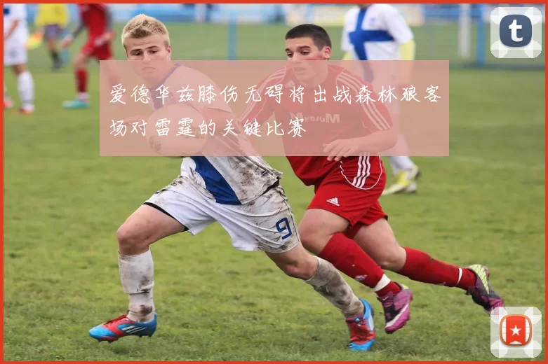 爱德华兹膝伤无碍将出战森林狼客场对雷霆的关键比赛