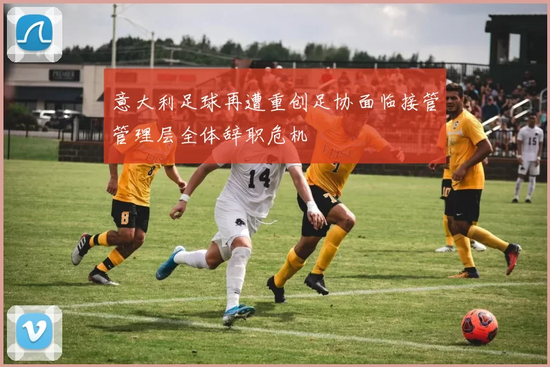 意大利足球再遭重创足协面临接管管理层全体辞职危机